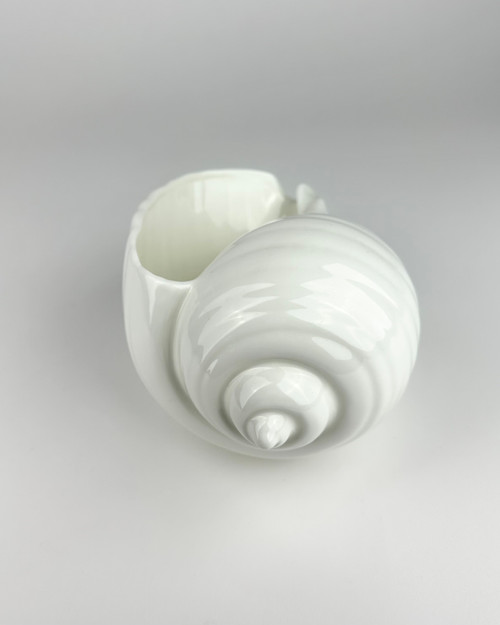 Wedgwood Nautilus Collection Conch Shell