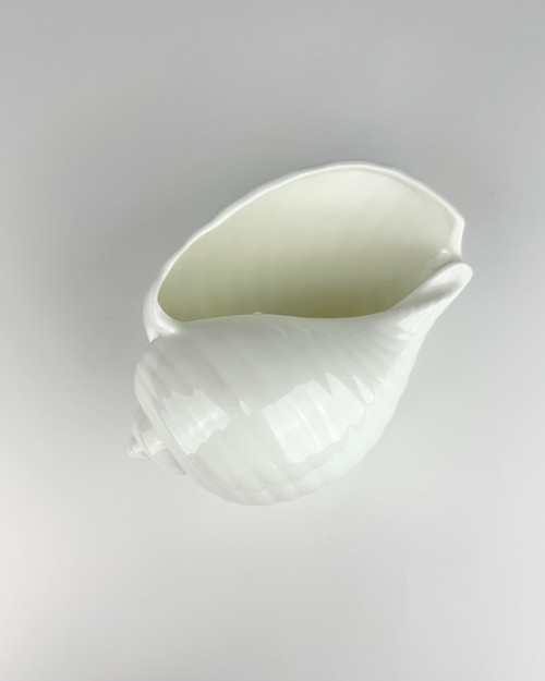 Wedgwood Nautilus Collection Conch Shell