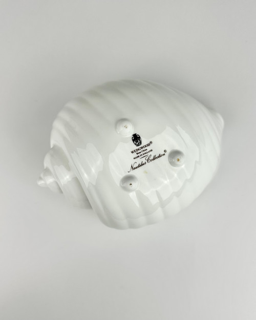 Wedgwood Nautilus Collection Conch Shell