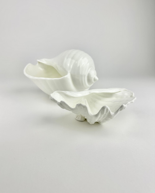 Wedgwood Nautilus Collection Conch Shell
