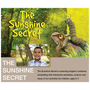 Sunshine Secret cover
