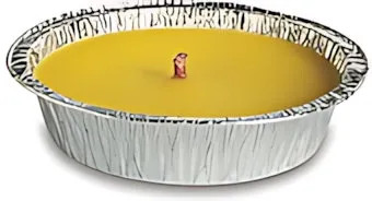 CANDELA DI CITRONELLA STAGNA CM.14