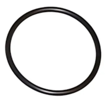 GUARNIZIONE TAPPO SALTELLO ORING O RING 1" BS. 20 PEZZI