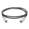160-9453-900 - Ciena Kompatibel 2 meter 100G QSFP28 Kabel Twinax Tembaga Pasang Langsung Pasif