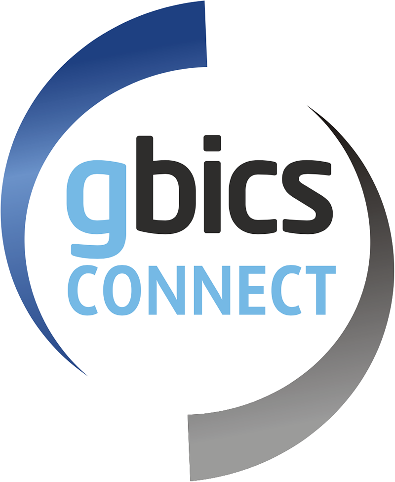 Connexion GBICS