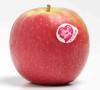 PINK LADY APPELS - تفاح الخد الأحمر