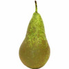 CONFERENCE PEARS 3-4 PK - كمثرا خضراء