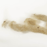 Organic Tassar Noil Blending Fibre (#40-026)