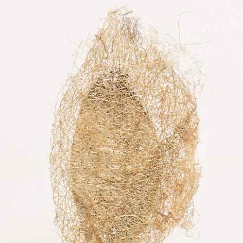 Ceranchia Cocoons by Sanjo Silk
