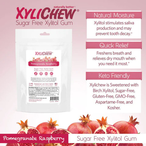 XyliChew Sugar Free Xylitol GUM - 500 pc. resealable bag - Made in the USA