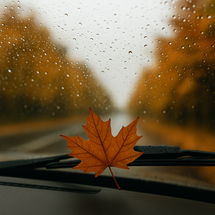 Get Your Car Autumn-Ready: Essential Parts to Check This October