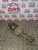 VAUXHALL MERIVA B SHOCK O/S/F  1.7 CDRI (2010 -2014)