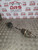 KIA CARENS DRIVER SHAFT PASSENGER (N/S) 2.0 DIESEL CRDI 2008