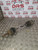 KIA CARENS DRIVER SHAFT PASSENGER (N/S) 2.0 DIESEL CRDI 2008