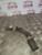 TOYOTA YARIS TOP COOLENT HOSE PIPE 1L PETROL T2 3 DOOR (2005 - 2011)