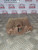 VOLVO V70  BRAKE CALIPER + CARRIER DRIVERS (O/S/R) MK2 ESTATE 2.4 PETROL (2001  2007)