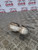 FORD FIESTA MK7 REAR ENGINE MOUNT ZETEC S 3 DOOR 1.6 (2009)