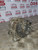 VAUXHALL MERIVA B ALTERNATOR (A14XER) 1.4 TURBO (2011)