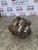 SUZUKI GRAND VITARA  BRAKE CALIPER + CARRIER DRIVERS (O/S/F) 2.5 V6 PETROL