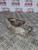 FORD GALAXY MK3 GEARBOX MOUNT 2.0 TDCI AUTOMATIC REAR DOG BONE MONDEO 2010-2015