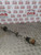VAUXHALL ASTRA G DRIVESHAFT DRIVER RIGHT (O/S) 1.6 8V MK4 (2002)