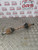 FORD FOCUS DRIVESHAFT (N/S/F) PASSENGER FRONT 1.6 TDCI (2011) MK2 FACELIFT