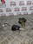 DAEWOO KALOS BOOT CATCH LOCK + ACTUATOR TAILGATE LATCH 2002- 2005