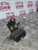KIA RIO TAILGATE CATCH 1.4 PETROL MK2 (2005 - 2011)