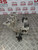 KIA RIO INLET MANIFOLD 1.4 PETROL MK2 (2005 - 2011)