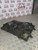 JAGUAR X TYPE COOLING FAN (1X4H8T000AP) ESTATE 2.5 AWD  (2004 - 2009)