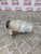 DODGE CALIBER POWER STEERING RESERVOIR 2.0 CRD DIESEL (2006 - 2013)