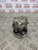 DODGE CALIBER PAS POWER STEERING PUMP 2.0 CRD DIESEL (2006 - 2013)