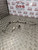 DODGE CALIBER POWER STEERING PIPE PAS 2.0 CRD DIESEL (2006 - 2013)