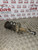 FORD MONDEO SHOCK ABSORBER (O/S/F) DRIVERS FRONT MK4 2.0 TDCI (2007 - 2014)