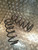 SUZUKI SWIFT REAR COIL SPRINGS 1.5 MK2