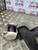 VOLKSWAGEN TOURAN MK1 SEAT BELT PASSENGER REAR N/S/R 2003 - 2006