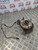 CHEVROLET LACETTI ESTATE  WHEEL HUB PASSENGER FRONT N/S/F 1.6 PETROL 2004 - 2010