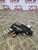KIA RIO BOOT TAILGATE LOCKING MOTOR ACTUATOR SOLENOID MK2 (2005 - 2011)