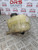 VAUXHALL INSIGNIA COOLANT EXPANSION TANK 1.8 PETROL 2008 - 2013