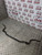 MERCEDES SLK FRONT ANTI ROLL SWAY BAR 320 V6 R170 AUTOMATIC 1996 - 2004