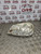 CHEVROLET LACETTI HEADLIGHT NS PASSENGER SIDE ESTATE 1.6 PETROL 2004 - 2010