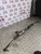 DODGE NITRO POWER STEERING RACK 2.8 CRD DIESEL (P52109985AG) 2007 - 2014) 