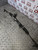 DODGE NITRO POWER STEERING RACK 2.8 CRD DIESEL (P52109985AG) 2007 - 2014) 