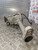 DODGE NITRO FRONT DIFF DIFFERENTIAL 2.8 CRD AUTOMATIC (TDKAF2497A7142) 2007-2014
