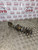 SMART CAR FORFOUR SHOCK ABSORBER NSF PASSENGER FRONT 1.5 DIESEL (1998 -2006)