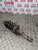 SKODA FABIA MK2 SHOCK ABSORBER OSF DRIVERS FRONT 1.4 TDI DIESEL 2009 - 2014