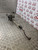MINI COOPER S STEERING RACK 1.6 PETROL R56 2006 - 2010