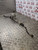 MINI (BMW) COOPER COUNTRYMAN STEERING RACK (13836910) 1.6 PETROL 2010-2016