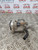 MINI COOPER ONE THROTTLE BODY R50 1.6 PETROL 2001 - 2006