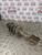 KIA SPORTAGE SHOCK ABSORBER OSF DRIVERS FRONT MK3 1.7CRDI DIESEL 2011 - 2015